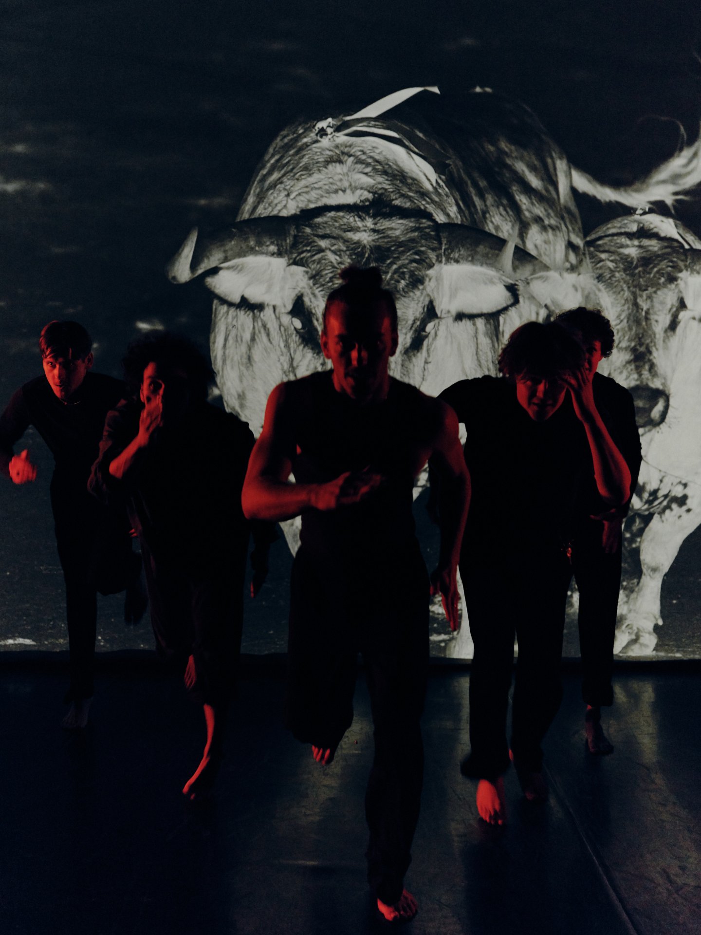 Jordi Casanovas: Smečka